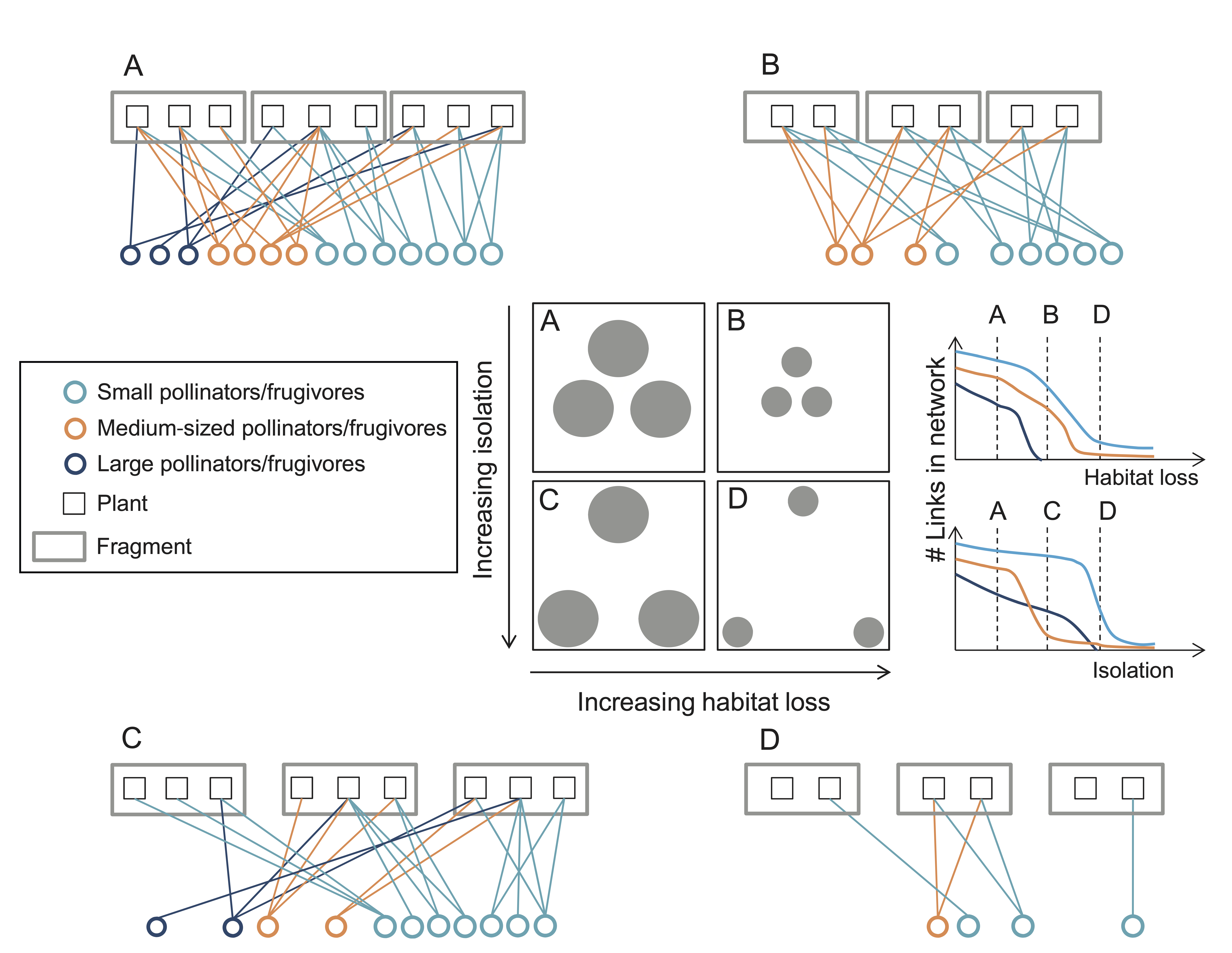 **Effects of habitat loss on network structure.** Image taken from Hagen et al. (2012)